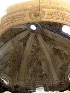 Cupula