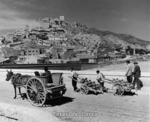 PUENTE DEL BARRIO (4)