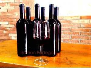 6 BOTELLAS VINO CRIANZA