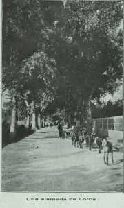ALAMEDA DE LORCA PASEANDO LAS CABRAS