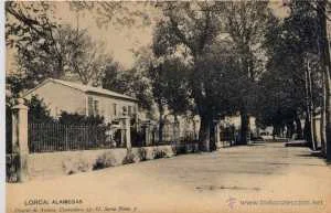 ALAMEDAS