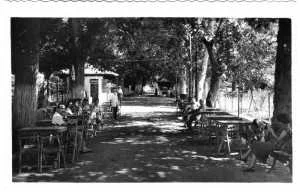 ALAMEDAS LORCA