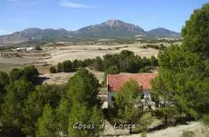 SIERRA CULEBRINA Y GIGANTE