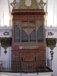 ORGANO