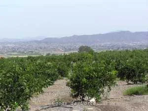PAISAJE AGUADERAS