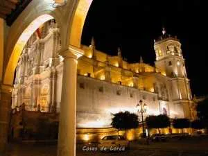 Vista nocturna