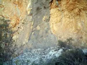 parte-central-del-abrigo