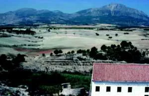 BAÑOS DE FUENSANTA EN LORCA. VISTA GENERAL CON LA SIERRA DEL GIGANTE AL FONDO, EL EDIFICIO DE PLANTA RECTANGULAR DE LOS BAÑOS EN PRIMER PLANO Y MÁS ALLÁ RESTOS DE LA PRIMITIVA CONSTRUCCIÓN CIRCULAR DE LOS BAÑOS GENERALES Y HERBAZAL DONDE ESTUVO EL HOYO PARA BAÑAR A LAS CABALLERÍAS (IMAGEN DE LA DÉCADA DE 1970). 