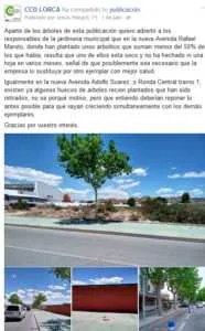 ARBOLES SECOS EN CAMINO CARTAGENA