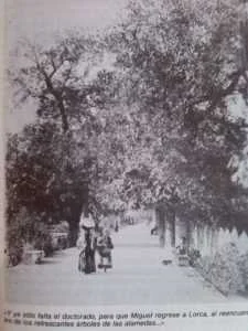 alamedas-lorca