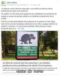 CCD LORCA SOBRE HIGIENE EN PARQUES Y JARDINES. La falta de control ante las mascotas y sus dueños producen serios problemas de salud a los lorquinos. Se repiten con frecuencia las quejas de los ciudadanos por picaduras de pulgas en zonas de jardines públicos en distintas localizaciones de la ciudad. Esta vez se han generalizado las picaduras en el parque de San Diego, este hecho provoca molestias sobretodo en los niños, aunque también en adultos y ancianos, lo cual provoca posibles infecciones por estas picaduras que se producen más por la falta de respeto a las normas vigentes por parte de los dueños que a la falta de limpieza y desinfección que según informan desde fuentes municipales se realiza asiduamente. Distintas fuerzas políticas están aprovechando estos hechos para denunciar la falta de limpieza del ayuntamiento, pero no terminan de analizar, denunciar y legislar para solucionar la causa principal de este problema que es el que todos los ciudadanos conocemos de sobra. Todos sabemos que si los perritos y otras mascotas se orinan o defecan en las zonas de cesped artificial en pocos días la zona esta infectada de pulgas y no se eliminan por mucho que se fumigue la zona, el motivo es sencillo de entender y es porque al día siguiente vuelven a venir las mismas mascotas con sus dueños, a orinar en el mismo sitio, por lo tanto el problema se eterniza. Entonces se hace necesario, primero educar a los ciudadanos aunque sea a base de sanciones, haciendo cumplir las normas vigentes, e instalar las infraestructuras adecuadas como los pipican que abundan en grandes ciudades con un servicio de limpieza diario para mantenerlos saludables. CCD LORCA, el centro es necesario.