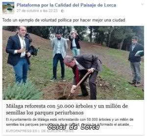 reforestacion-en-malaga