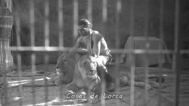 El gran Circo Krone en Lorca 9