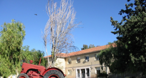 Los CIFEA de Molina y Lorca se convierten en Centros de Referencia Nacional en conserva vegetal y ganadería