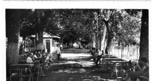 Alamedas de Lorca – El escritor Townsend las comparó con las de Oxford