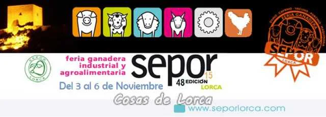 SEPOR 2015 LORCA