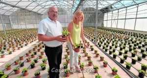 El vivero municipal recupera su producción
