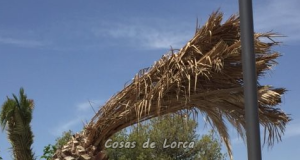 Proponen crear “brigadas de mantenimiento” de parques y jardines
