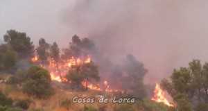 Más de 500 efectivos se afanan en la extinción de tres grandes fuegos en Lorca y Cieza