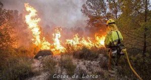 Jódar pide también un Plan de Recuperación tras el incendio de Zarcilla de Ramos