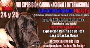 Lorca celebra este fin de semana en el Huerto de la Rueda su VIII Exposición Canina y la Feria del Caballo Cruzado