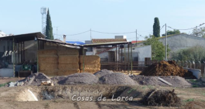 Los vecinos de Campillo han denunciado la existencia de de balsas de purines junto a sus casas