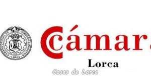 Entrega de Premios de la Cámara de Comercio de Lorca 2015