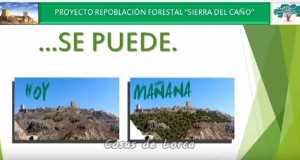 Proponen plantar 90.000 árboles para atajar la desertización en Lorca.