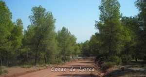 Agricultura destina 72.000 euros a la mejora de pistas forestales y caminos en Lorca para mejorar la lucha contra incendios