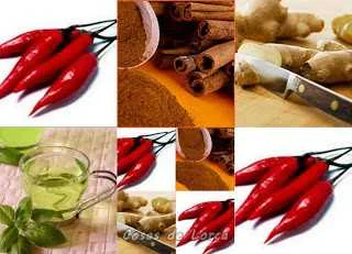 ALIMENTOS TERMOGENICOS PARA ADELGAZAR