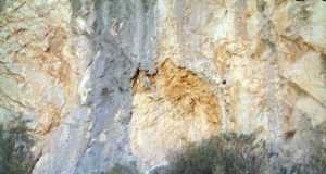 El abrigo de los gavilanes, y los restos prehistoricos en Lorca
