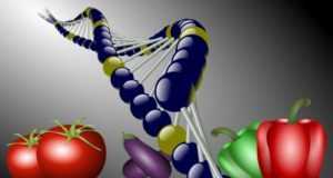 La nutrigenómica: nutrición personalizada, la clave para dietas correctas