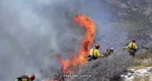 Consejos para prevenir un incendio sobre todo ahora que aprieta el calor