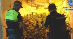 La policia detiene a dos personas y desmantela dos plantaciones de marihuana en Lorca