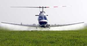 La poca lluvia y fumigaciones preventivas reducen los ataques del mosquito tigre