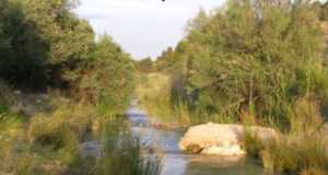 El Ayuntamiento responde al Psoe sobre su crítica a la propuesta de crear una playa fluvial en el rio Luchena.