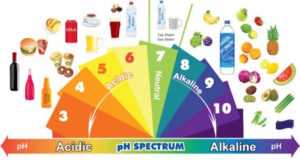La salud de un cuerpo alcalino ¿Sabes cómo se consigue tenerlo?