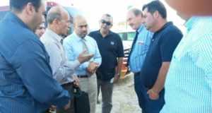 Una unión hispano-egipcia para la exportación de vacuno desde La Hoya