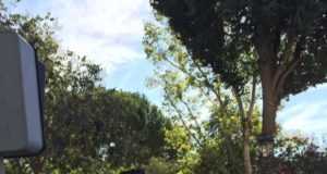 Muchos lorquinos acompañaron a la Virgen de las Huertas en procesión hasta la iglesia de Santiago