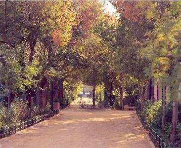 ALAMEDAS DE LORCA