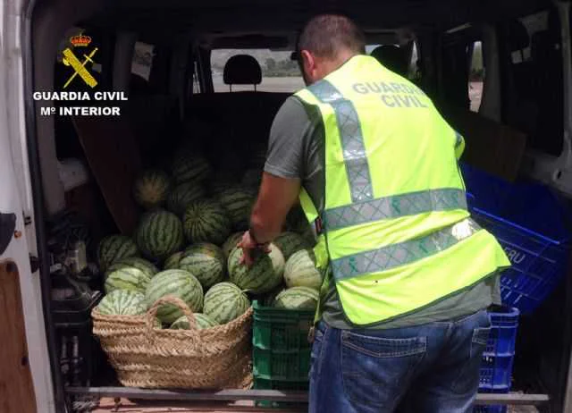 DETENIDAS 8 PERSONAS POR ROBO DE SANDIAS EN FINCAS DE LORCA
