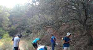 La Plataforma por la Calidad Del Paisaje de Lorca organiza la segunda recogida de semillas para la Sierra de Almirez