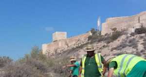 50 peones agrícolas plantan más de 4.015 nuevos árboles por la Sierra del Caño