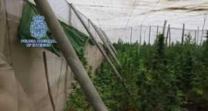Una operación policial detiene a 4 personas e interviene 9 toneladas de marihuana