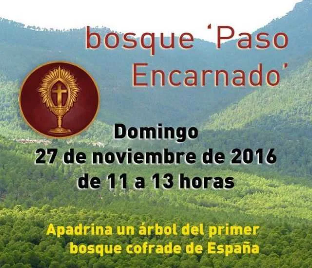 PLANTACION DEL BOSQUE DEL PASO ENCARNADO