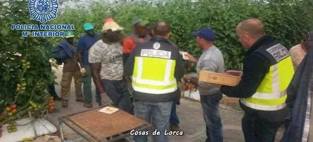 DETENIDO POR EXPLOTACION LABORAL EN FINCA DE LORCA