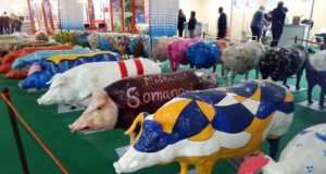 VISITAMOS SEPOR 2016 EN SU INAUGURACION.