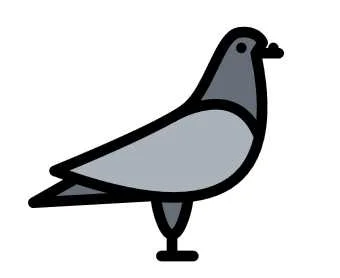 Pajarerías icon