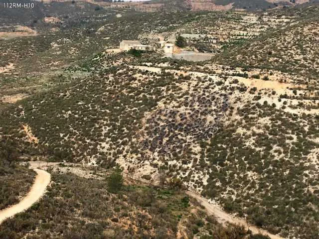 Efectivos del Infomur apagan un conato de incendio forestal en la Sierra de la Peñarrubia, en Lorca