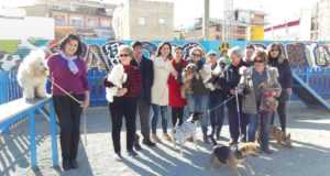 La Concejalía de Sanidad habilita 3 zonas de esparcimiento para mascotas en los parques de La Viña, Virgen de la Amargura y San José.